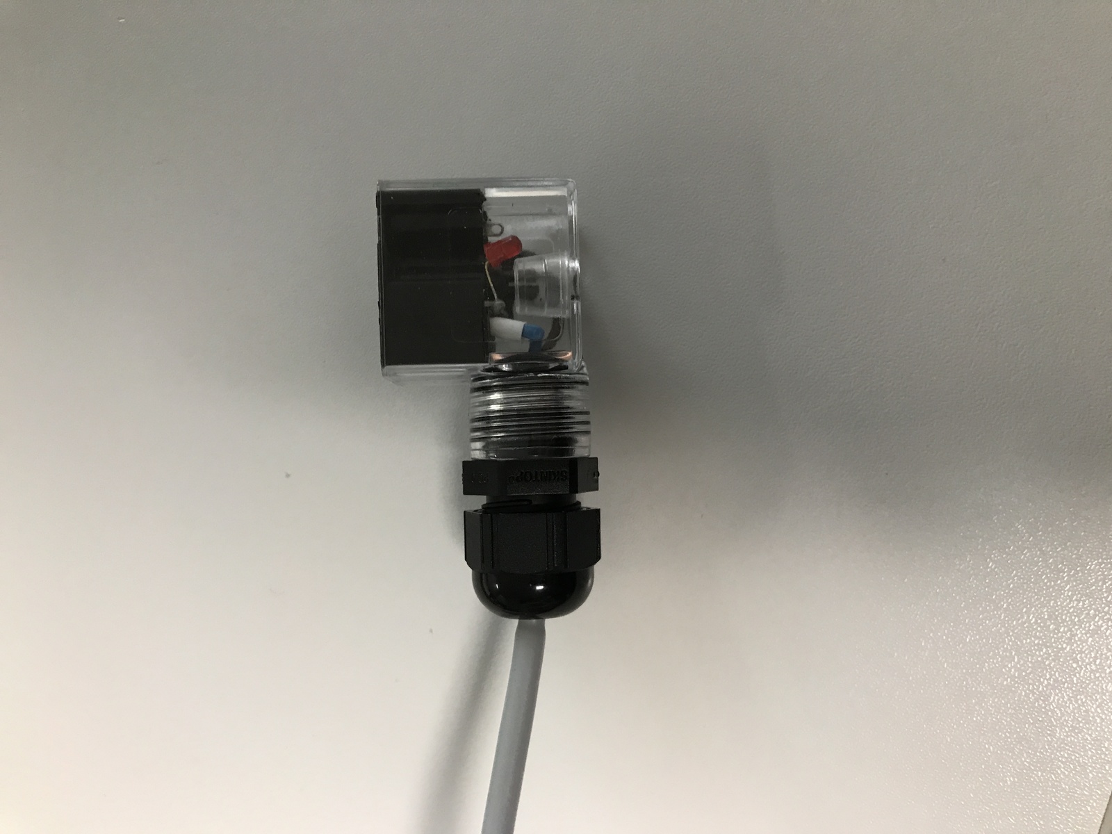 Coil connector 24VAC & DC